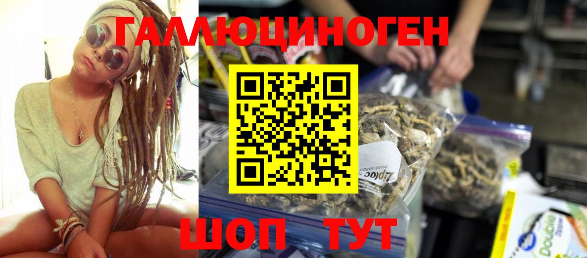 Барабинск  Псилоцибиновые грибы MAGIC MUSHROOMS  Вход с VPN 